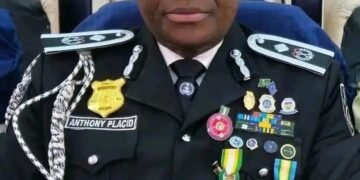 IGP Names New Police PRO