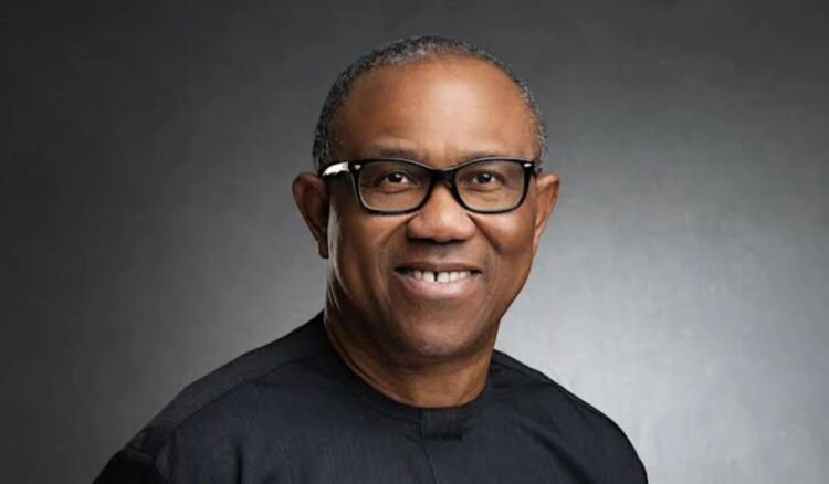 Obi Challenges New Electoral Rules