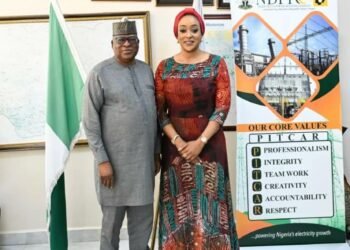 Togo Seeks Electricity From Nigeria