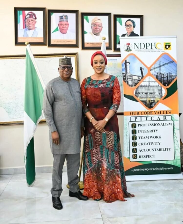 Togo Seeks Electricity From Nigeria