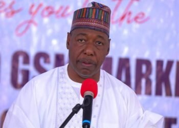 Two Bombers Still Missing – Governor Zulum