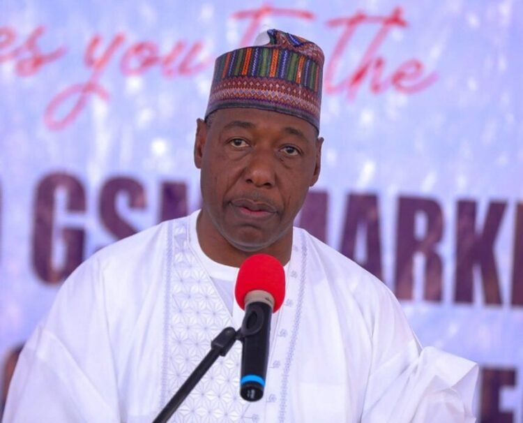 Two Bombers Still Missing – Governor Zulum