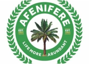 Afenifere Slams Electoral Act Change
