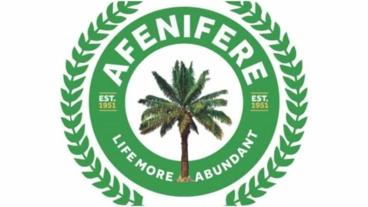 Afenifere Slams Electoral Act Change