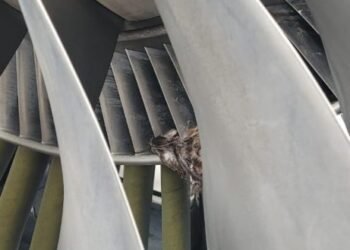 United Nigeria Airlines Grounded Twice In One Day 