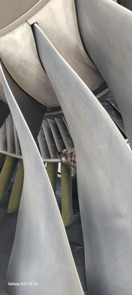 United Nigeria Airlines Grounded Twice In One Day