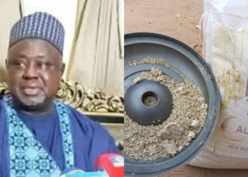 Allegation Trails Kebbi Deputy Gov Over Rice