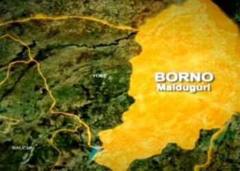 Blood Shortage Worsens Maiduguri Bombing Crisis