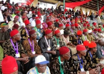 Ohanaeze Disowns Igbo Title In South Africa