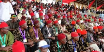 Ohanaeze Disowns Igbo Title In South Africa