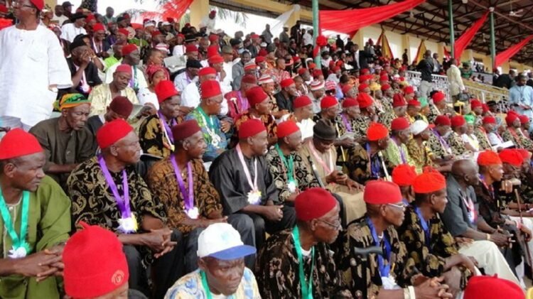 Ohanaeze Disowns Igbo Title In South Africa