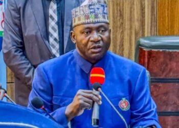 Nigeria To Deploy Troops To Türkiye