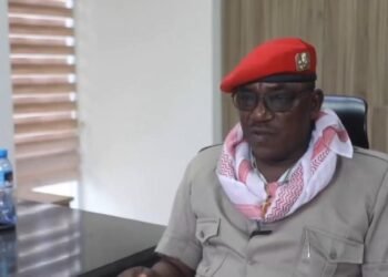 Ex Minister Questions US Troop Role In Nigeria