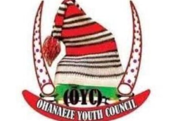 Ohanaeze Youths Blacklist Ex Governors