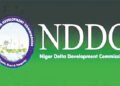 Court Strikes Out NDDC Audit Case 
