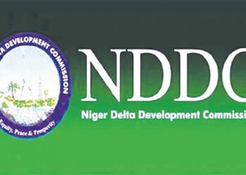 Court Strikes Out NDDC Audit Case