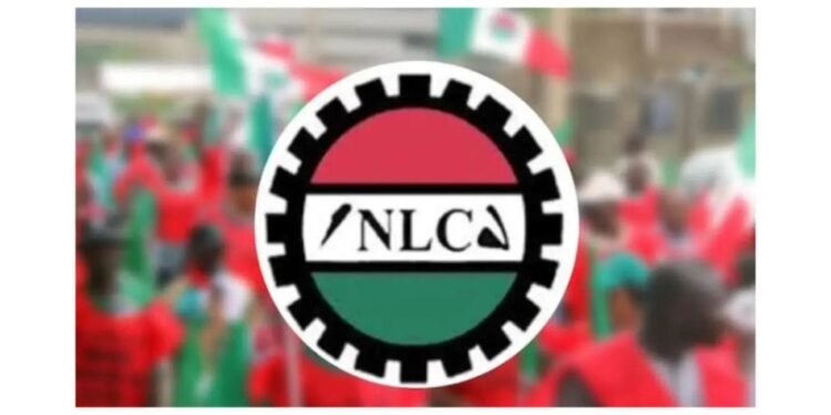 NLC Plans May Day Protests Over Unpaid Salaries 