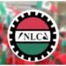 NLC Plans May Day Protests Over Unpaid Salaries 