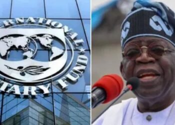 IMF Warns Nigeria Govt On Subsidy Return
