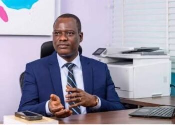 Nigeria Cannot Develop On Loans – Oyedele
