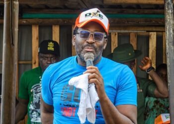 Desmond Elliot Rejects APC Primary Result