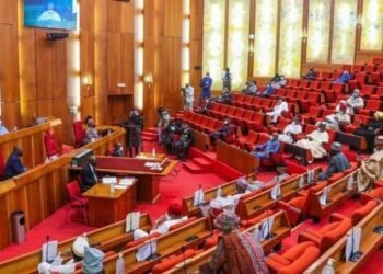 Nigeria Plans Cannabis Legalisation Bill