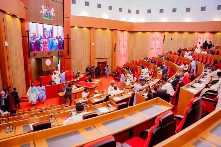 NASS Promises Fast Security Reforms