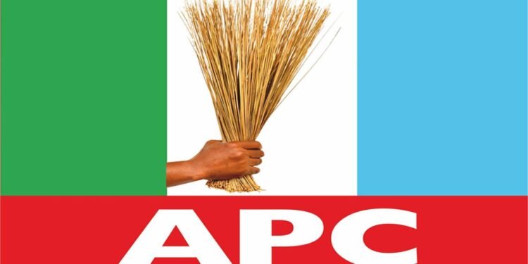 Lagos APC Members Reject Candidate Plot