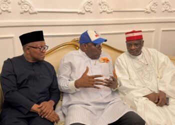 Obi, Kwankwaso Joins NDC