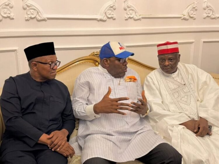Obi, Kwankwaso Joins NDC