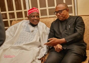 Obi, Kwankwaso Forge Alliance For ADC Ticket 