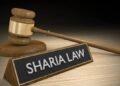 New US Bill Stirs Immigration Debate