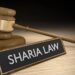 New US Bill Stirs Immigration Debate