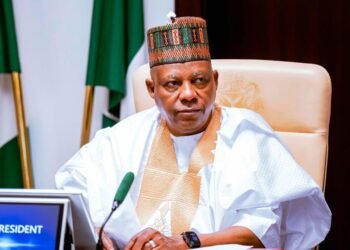Tinubu Yet To Decide Shettima’s 2027 Fate