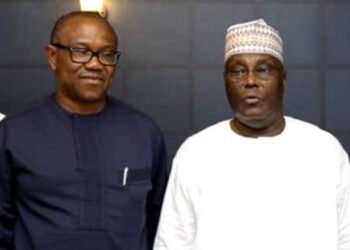 I Am Not Avoiding Atiku – Peter Obi