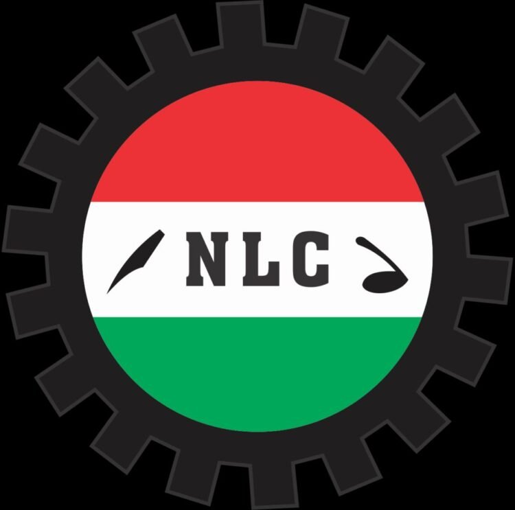 NLC Rallies Behind Teachers Strike