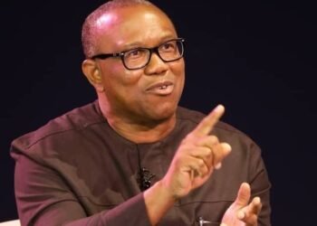 Peter Obi Rejects Ethnic Profiling Of Criminals 