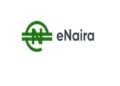 Federal Government Plans eNaira Salary Payments 