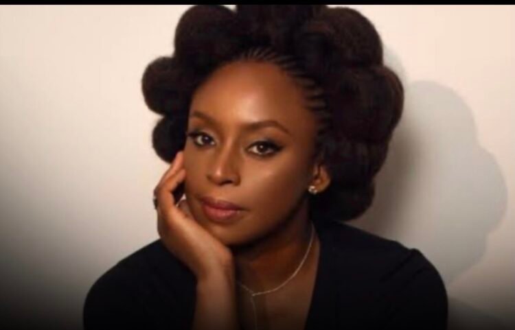 Adichie Seeks Justice After Son Death