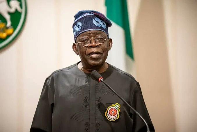 Fitch Warns Nigeria Over $5 Billion Financing Plan
