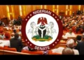 States Clash With Senate Over Electricity Reform Bill