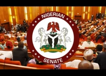 States Clash With Senate Over Electricity Reform Bill