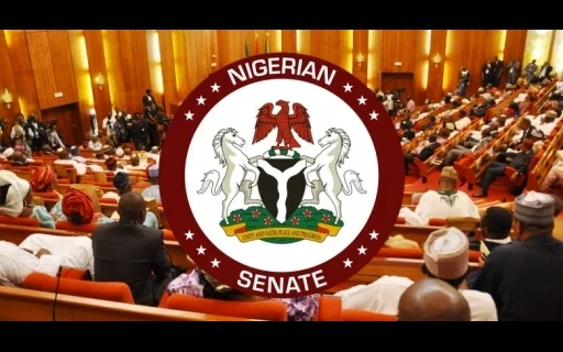 States Clash With Senate Over Electricity Reform Bill
