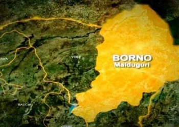 Troops Rescue 10 Borno NECO Candidates, Teachers 