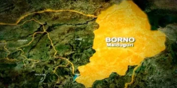 Troops Rescue 10 Borno NECO Candidates, Teachers 