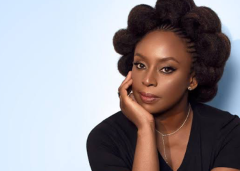 Court Halts Inquiry Into Adichie Child Death Case