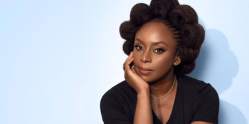 Court Halts Inquiry Into Adichie Child Death Case