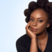 Court Halts Inquiry Into Adichie Child Death Case