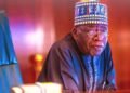 Tinubu Seeks Fresh Mandate Amid Challenges