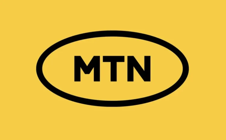 Chasing Foreigners Won’t Fix S’Africa Problems – MTN